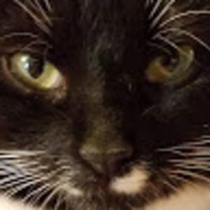 Meet your Posher, Cheryl